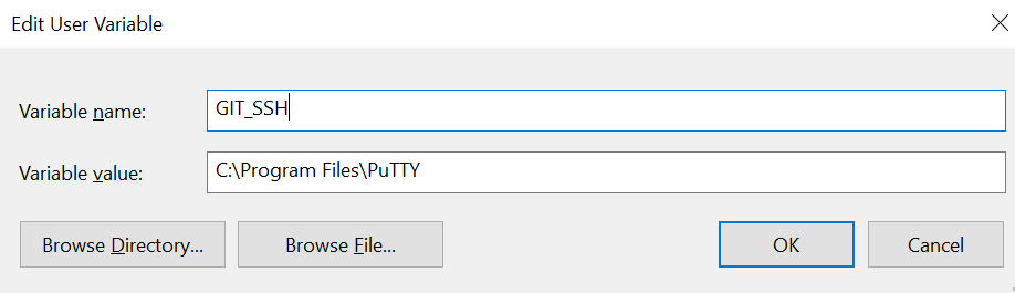Environment variable dialog